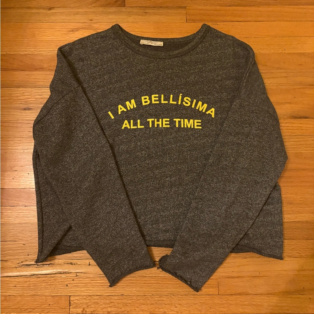 Zara Trafaluc Crewneck Sweater
